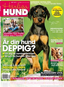 Härliga Hund