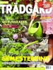 Tidningen Allt om Trädgård 4 nummer