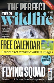 Tidningen BBC Wildlife (UK) 3 nummer