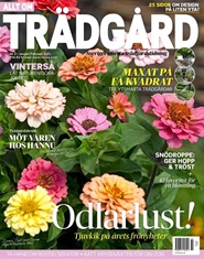 Bild av Tidningen Allt om Trädgård Tidningsprenumeration 16 nummer