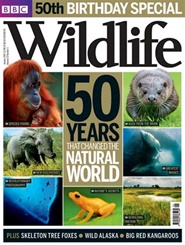 Tidningen BBC Wildlife 13 nummer