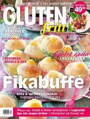 Tidningen Glutenfritt 3 nummer