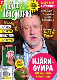 Läs mer om Tidningen Lätt & Lagom 12 nummer