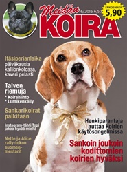 Tidningen Meidän Koira 6 nummer