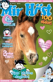 Tidningen Min Häst 26 nummer