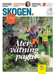 Läs mer om Tidningen Skogen 11 nummer