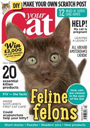 Tidningen Your Cat 12 nummer