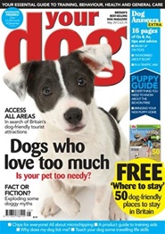 Tidningen Your Dog 12 nummer