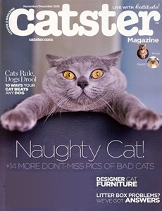 Prenumeration Catster