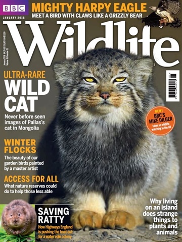 Tidningen  BBC Wildlife framsida