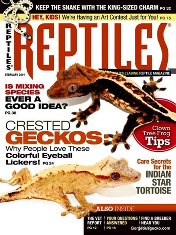 Tidningen  Reptiles framsida